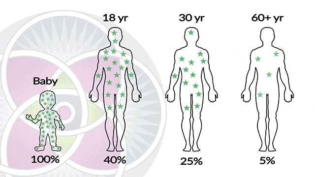 As we age, stem cells decline in number and lose vitality.