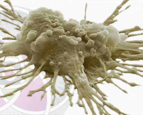 The Science of Stem Cells