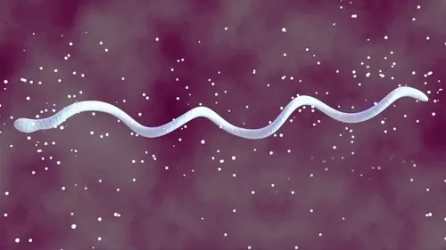 The stealthy lyme spirochaete has 10 major ways that it evades conventional medicine.