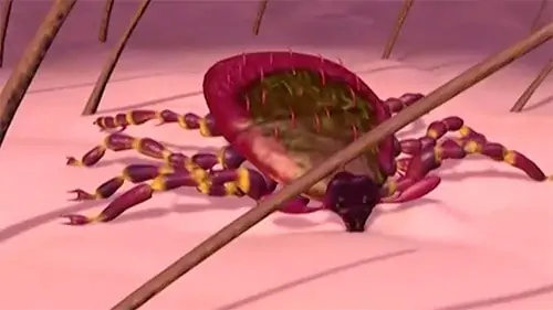 The most common way of getting lyme disease is through the bite of a tick.