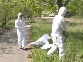 The government uses surveillance to find out where the Lyme carrying ticks are spreading.