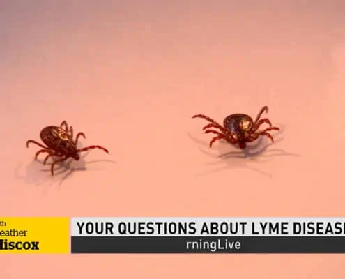 Lyme Disease Prevention – Your Questions Answered