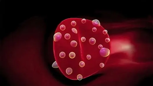 Ozone causes blood flow to significantly improve which also improves the red blood cells ability to cary oxygen.