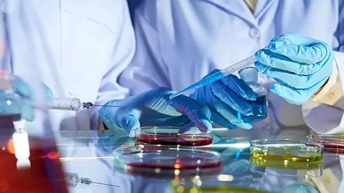 Researchers are looking for the “magic recipe” for inducing a stem cell to differentiate into the cells we need or want