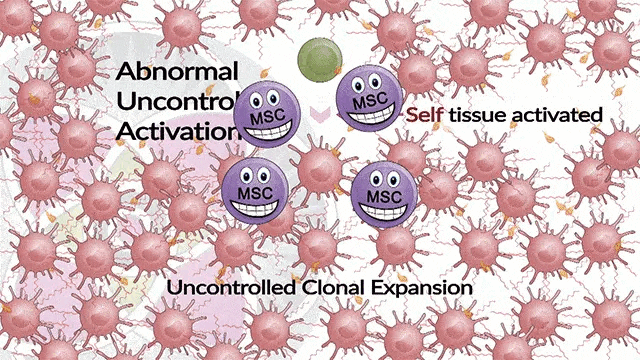 Stem cells target and stop abnormal activation at the source.