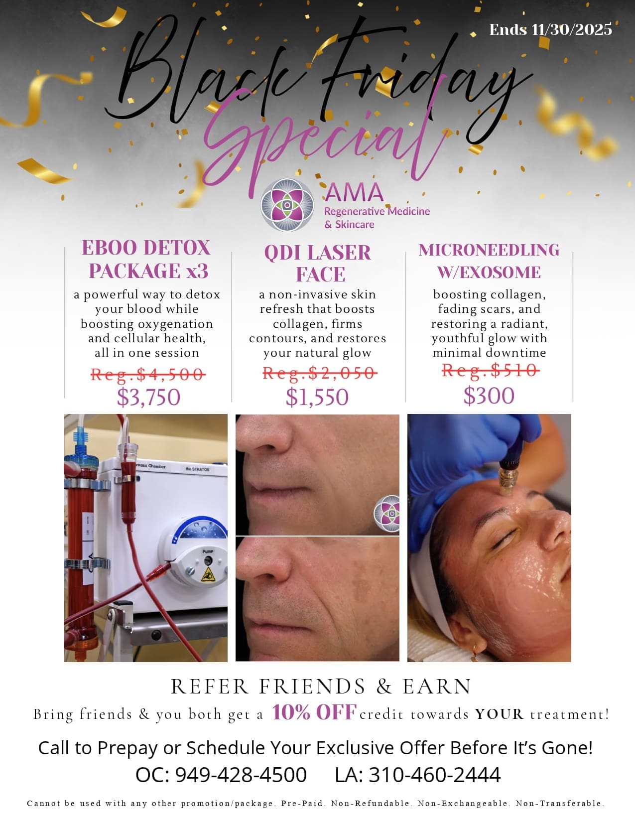 Black Friday Holiday Promo 2025