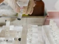 A technician extracts mesenchymal stem cells (MSCs) from a cryo-vial into a sterile syringe for patient administration.