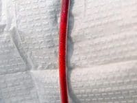 vaccine-injured-cleansing-debris-from-blood